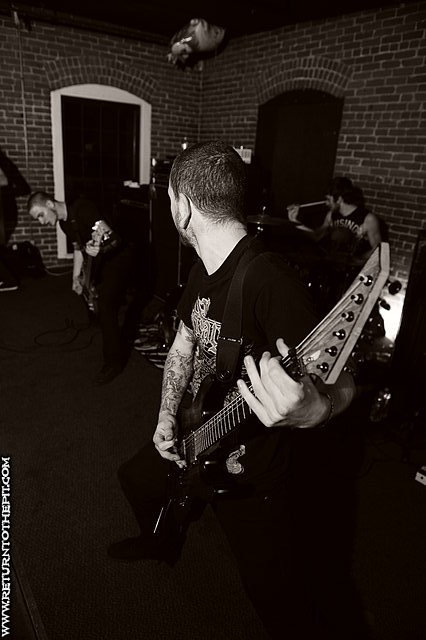 [in the midst of lions on Nov 9, 2010 at Waterfront Tavern (Holyoke, MA)]