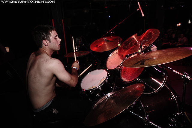 [pretty little flower on May 23, 2009 at Sonar (Baltimore, MD)]