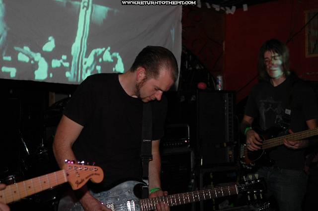 [red sparowes on Aug 23, 2005 at Middle East (Cambridge, Ma)]